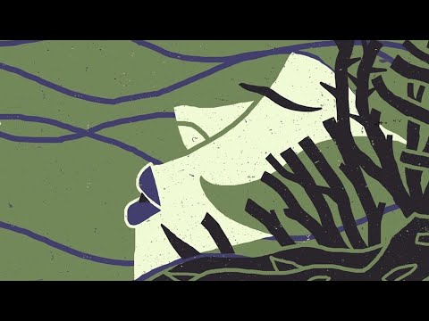 Maxime Dangles - Cascades (Electric Rescue Remix)