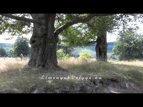 Kis-Kőhát - Nagy-mező tanösvény az Élmények Völgye ajánlatában