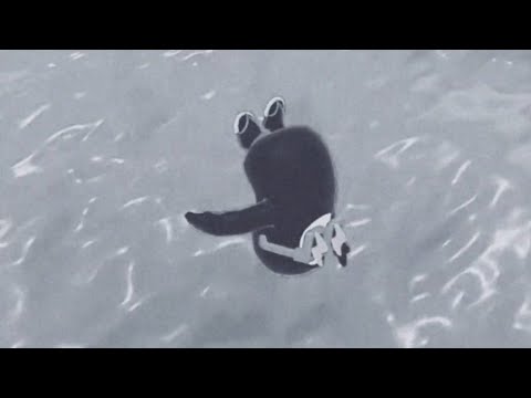 BEST FUNNY MOMENTS OF BIG ALBO 2023 | Videos and Tik Toks