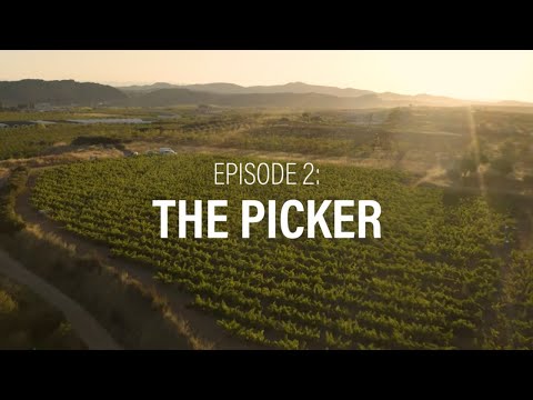 Rioja | The Heart of Harvest - Episode 2: The Picker