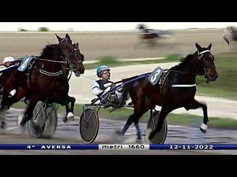 Aversa trotto 12 Novembre 2022 - 4° Corsa