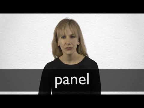 How to pronounce PANEL in British English