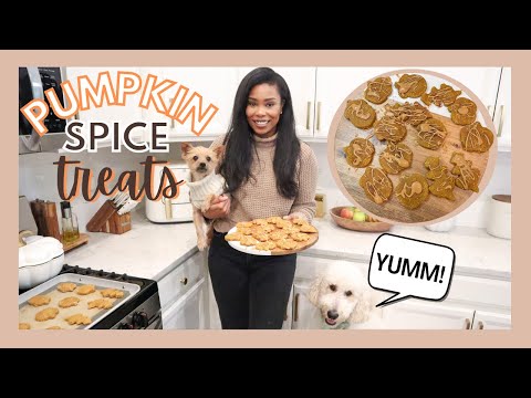 HOMEMADE DOG TREATS | PUMPKIN SPICE DOG TREATS // LoveLexyNicole