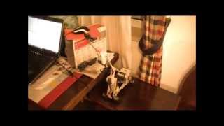preview picture of video 'LEGO mindstorm arm LEJOS bluetooth remote control'