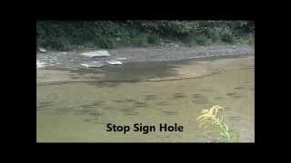 preview picture of video 'Steelhead Fishing Conditions Walnut Creek 9-20-2014 Erie Pa'