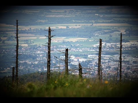 Cesar Bresgen (1. Orgelbuch) Postludium in A