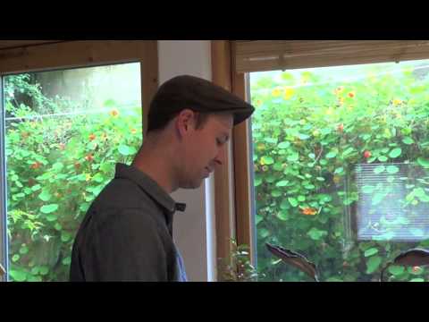 download lagu mp3 mp4 Luke Harney, download lagu Luke Harney gratis, unduh video klip Luke Harney