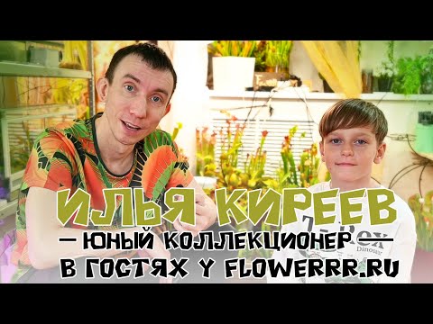 Илья Киреев – самый крутой коллекционер хищных растений с острова Сахалин