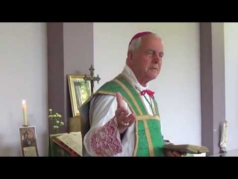 Bishop Richard Williamson - 3rd Sunday After Pentecost