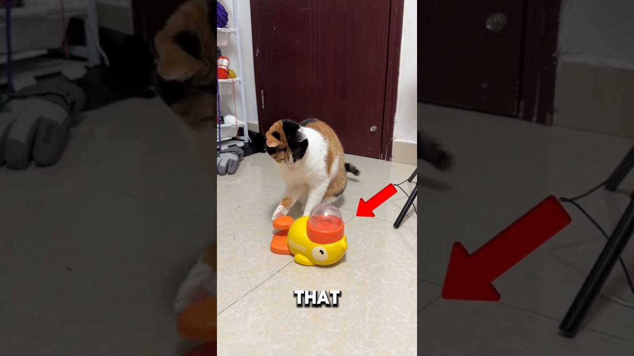 it know how to use that