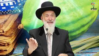 הרב יונה מצגר | סוד חג סוכות - מדהים!