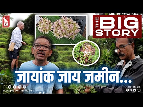 à¤œà¤¾à¤¯à¥‹: Bloom in Battle