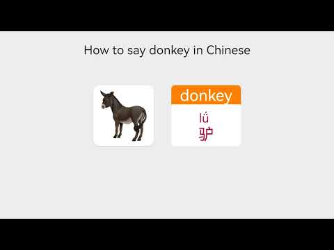 【Vocabulary   Farm Animal Names】 How to say donkey in Mandarin Chinese