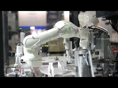 Kawasaki Robotics RS007N Inspection Cell by Capital Industries