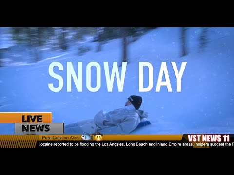 Sav Did It x Shady Gee x DangerFromTheB - Snow Day (Official Music Video)