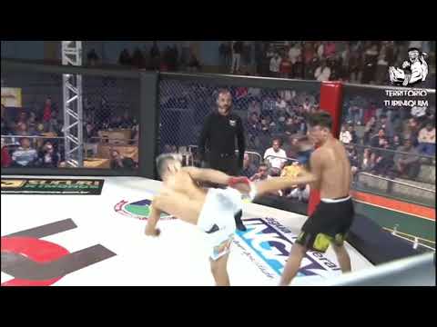 Deninho 3D Araujoo Highlight 🦁