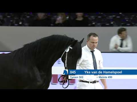 HK 2026 – Rubriek 1 Deel 2 – Vrijdag 16 januari – Tweede bezichtiging