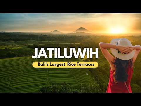 Jatiluwih: The Largest Rice Terraces in Bali