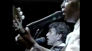 Mosaicos | A Arte de Caetano Veloso