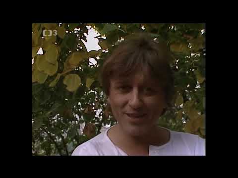 Václav Neckář - Směs hitů (1986)