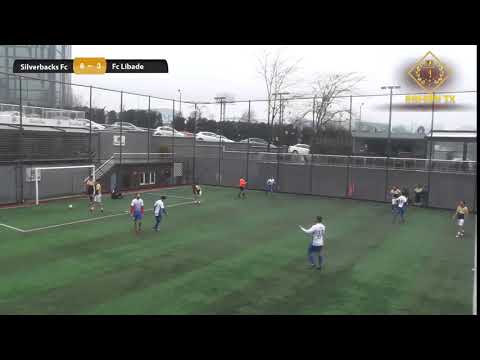 Gol Videosu