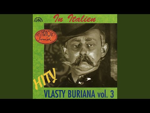 V advokátní poradně