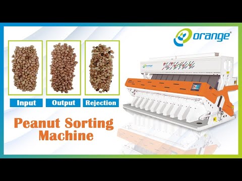 Nuts And Dehydration Sorting Machine