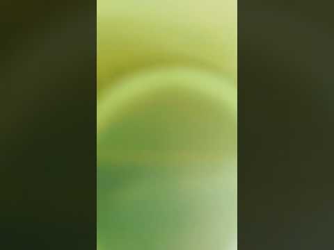 Hello everyone, my name is Matvey And you?