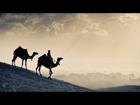 Desert Oud - Arabian Nights Ambiance