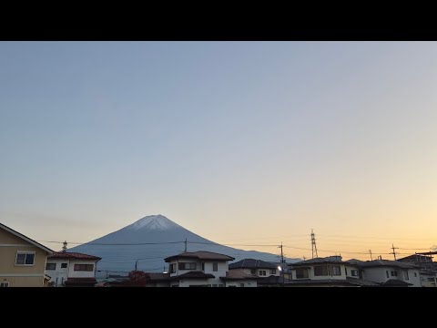 Trip to JAPAN?! (What's going to happen?) // (fun vibez) 