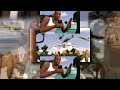 YTPMV I M At DIP Scan