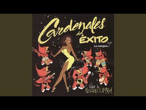 Mix Chichilo Cardenal