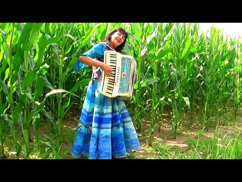 Wiesia accordion - "NA DANCINGU , ZABRAŁAŚ SERCE MOJE , BYŁ TO CHŁOPCZYNA"