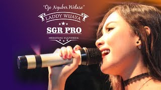 Download lagu Ojo nguber welase - LADDY WIJAYA (SGR Pro) mp3