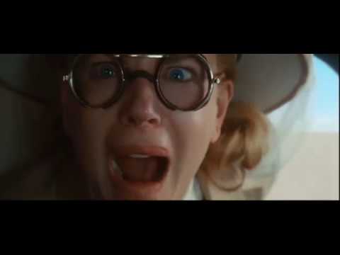 Australia beautiful kangaroos