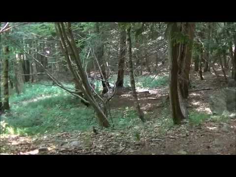 Attraversando la Val Grande