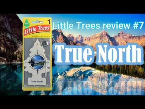 Little Trees review by Japanese #7 (True North)