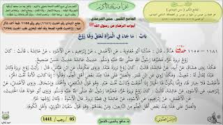 صورة شرح الجامع الكبير سنن الترمذي : باب ماجاء في المرأة تعتق ولها زوج - الحديث 1181 || ماهر ياسين الفحل