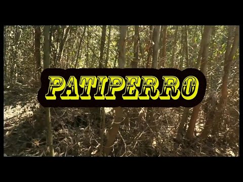 Bambino Atn - Patiperro (Video Oficial)