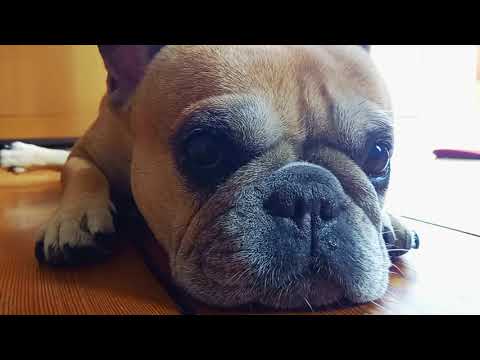 Fabiana Striffler - Maraschino Cherries