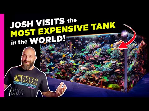 Josh Visits the Most Expensive Aquarium Tank in the World! | Polo Reef Tank Tour