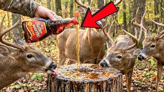 35 Deer Hunting Tricks Professional Hunters Teach Beginners That Cost Pennies—an
