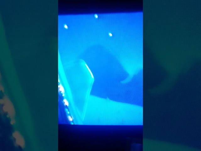 Vídeo relacionado con Rodevil Zapatillas Jack Pesadilla Navidad Andar por casa Unisex - Fan Art by Maria Latorre (Talla 44)