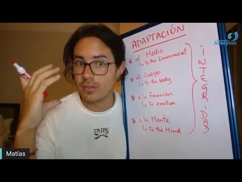 Day 315 ADAPTABILITY - Matias De Stefano - English Edit