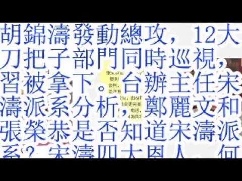 胡锦涛发起总攻，12大刀把子部门被同时巡视，习被拿下。台办主任宋涛的派系分析，郑丽文和张荣恭是否知道宋涛的派系？宋涛四大恩人，何少川，曾庆红，江泽民，王沪宁。何少川与许嘉璐的关系。