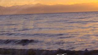 Amare di Nuovo-Yanni & Nathan Pacheco