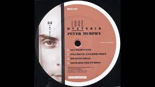 Peter Murphy – Socrates The Python