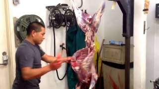 Guy Skins Deer In Under Two Minutes