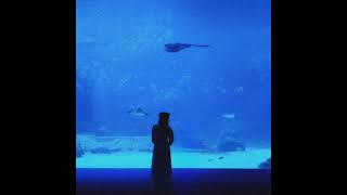 Download lagu Mattyeux, Princess Chelsea - Sometimes (chelsea part only slowed, best part only slowed) mp3