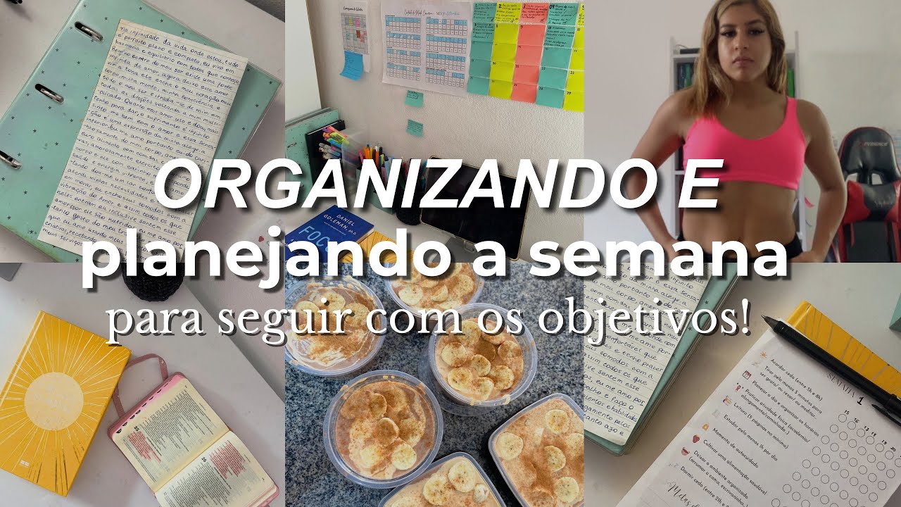 ORGANIZAÇÃO para realizar OBJETIVOS e METAS - MODO CAVERNA novo mês